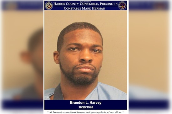 Police Dog "Rambo" Subdues Suspect Fleeing From Warrant Arrest in Harris County