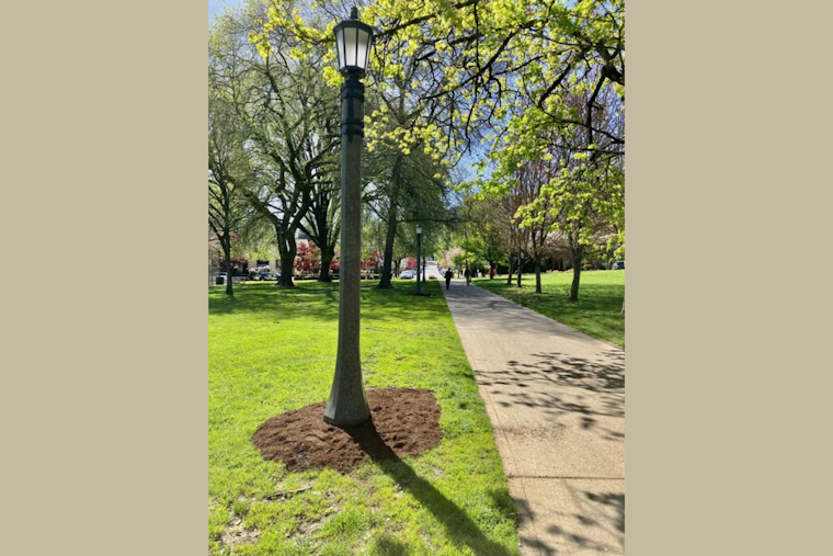 Portland's Parks Glow Brighter with Energy-Efficient, Dark Sky-Friendly Lighting Overhaul