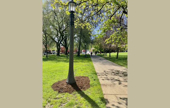 Portland's Parks Glow Brighter with Energy-Efficient, Dark Sky-Friendly Lighting Overhaul