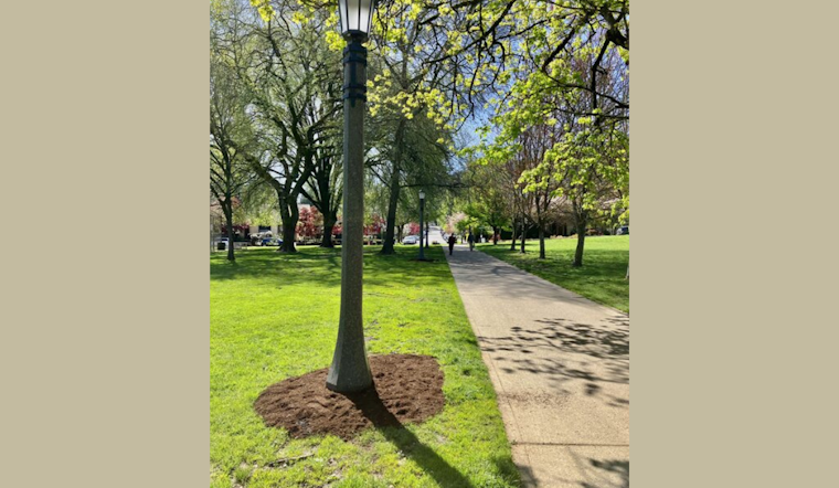 Portland's Parks Glow Brighter with Energy-Efficient, Dark Sky-Friendly Lighting Overhaul