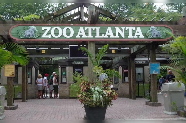 Rare Conservation Triumph as Endangered Crowned Lemur Born at Zoo Atlanta