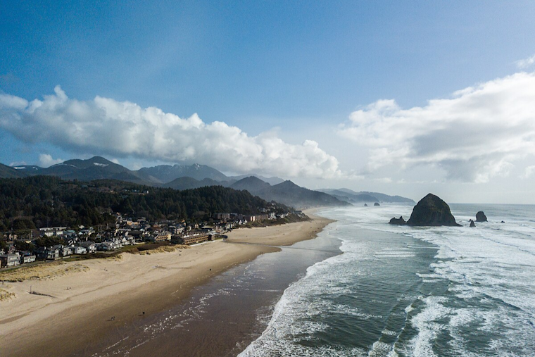 Rare Deep-Sea Marvel Astonishes at Cannon Beach: Pacific Football Fish's First Record in Oregon Waters