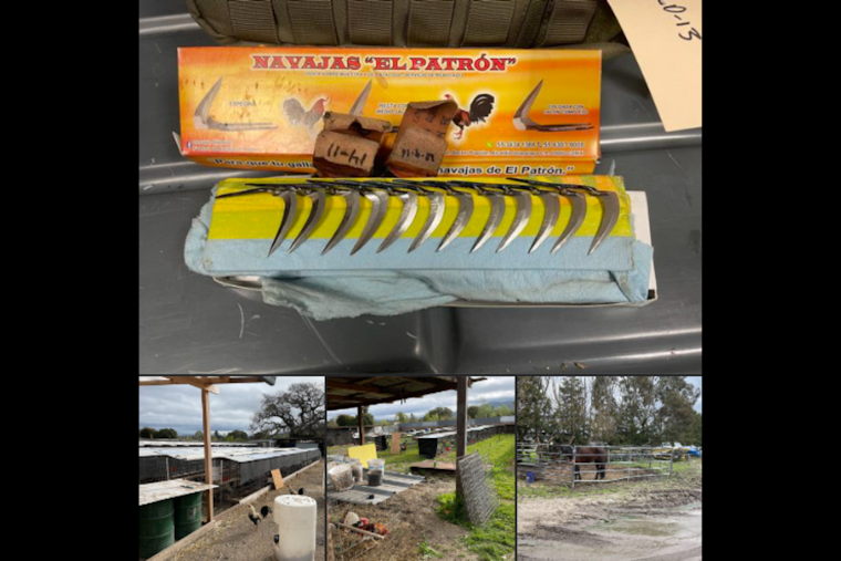 Rohnert Park Burglary Arrest Leads to Discovery of Suspected Animal Cruelty, Additional Suspects Charged