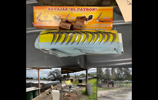 Rohnert Park Burglary Arrest Leads to Discovery of Suspected Animal Cruelty, Additional Suspects Charged