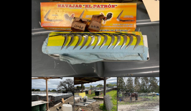 Rohnert Park Burglary Arrest Leads to Discovery of Suspected Animal Cruelty, Additional Suspects Charged