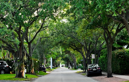 Saint Paul Partners with Green Cities Accord to Expand Urban Forest and Battle Climate Change