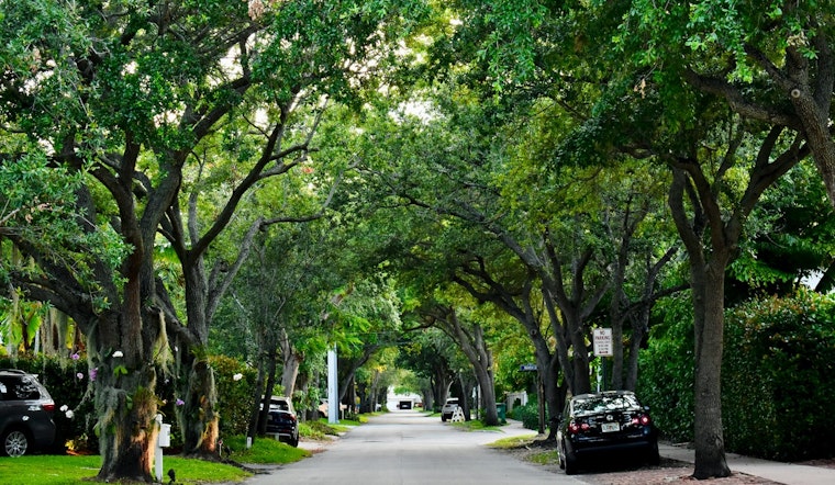Saint Paul Partners with Green Cities Accord to Expand Urban Forest and Battle Climate Change