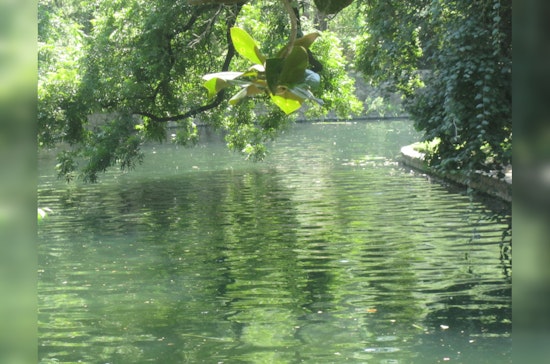 San Antonio Embraces Nature's Filters: 5,000 Mussels Released to Revitalize River Ecosystem