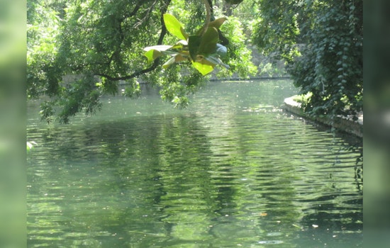 San Antonio Embraces Nature's Filters: 5,000 Mussels Released to Revitalize River Ecosystem