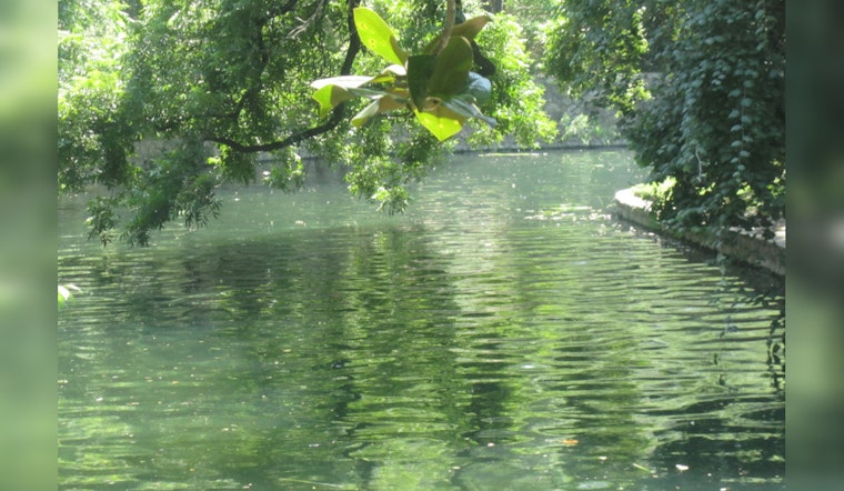 San Antonio Embraces Nature's Filters: 5,000 Mussels Released to Revitalize River Ecosystem