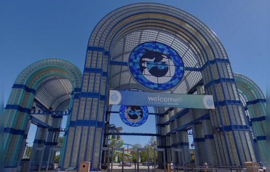 San Antonio Missions Swap Bats for Wetsuits in Team-Building Outing at SeaWorld San Antonio