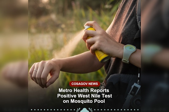 San Antonio on Alert: West Nile Virus Detected, First Case Marks Return of the Mosquito-Borne Threat