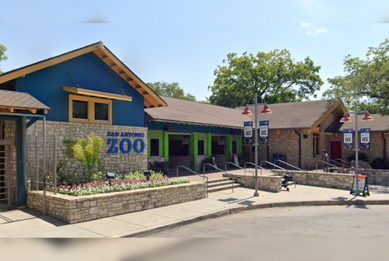 San Antonio Roars into Prehistoric Fun with "Dino Adventure Park" at the Zoo