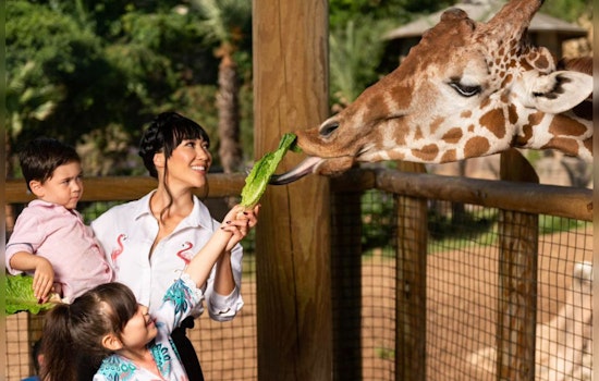 San Antonio Salutes Nurses and Teachers with Freebies and Discounts During Appreciation Week