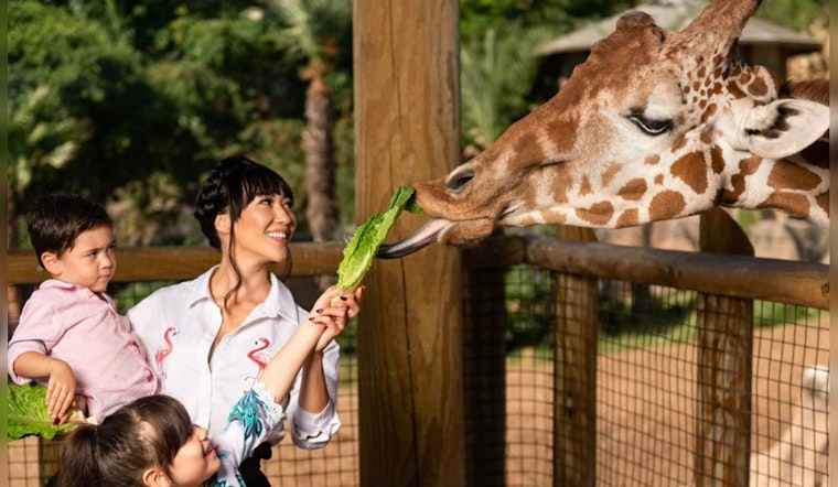 San Antonio Salutes Nurses and Teachers with Freebies and Discounts During Appreciation Week