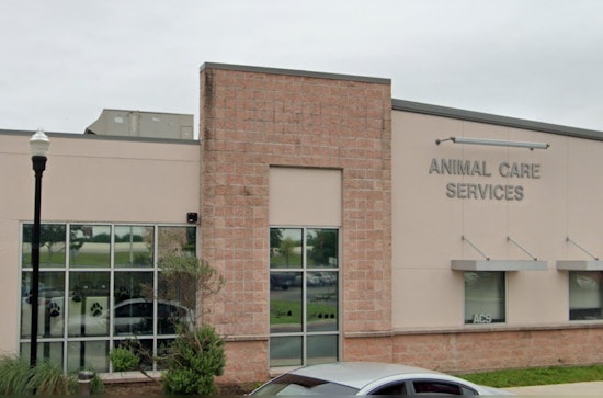 San Antonio Seeks New Animal Care Services Director, Considers Anonymity in Dangerous Dog Reports