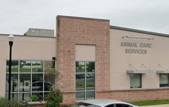 San Antonio Seeks New Animal Care Services Director, Considers Anonymity in Dangerous Dog Reports