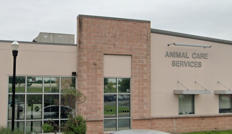 San Antonio Seeks New Animal Care Services Director, Considers Anonymity in Dangerous Dog Reports