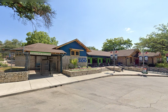 San Antonio Zoo Set for Revitalization with $5.5 Million in Donations from Texas Philanthropists