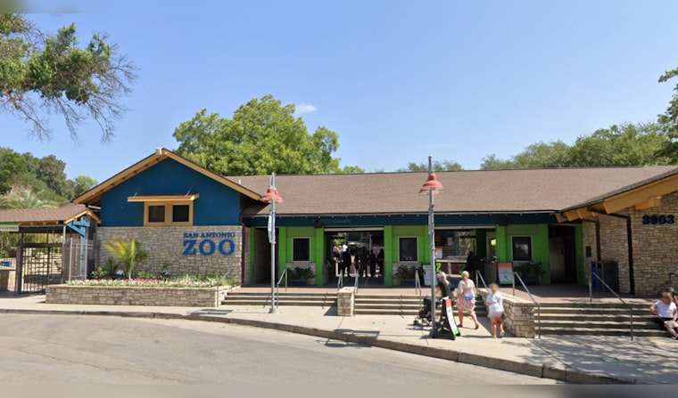 San Antonio Zoo Unveils Dino Adventure Park Featuring Life-Size Dinosaurs This Summer