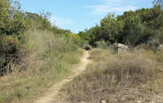 San Antonio's Bamberger Nature Park, An Urban Oasis for Eco-Conscious New Yorkers and Cyclists Alike