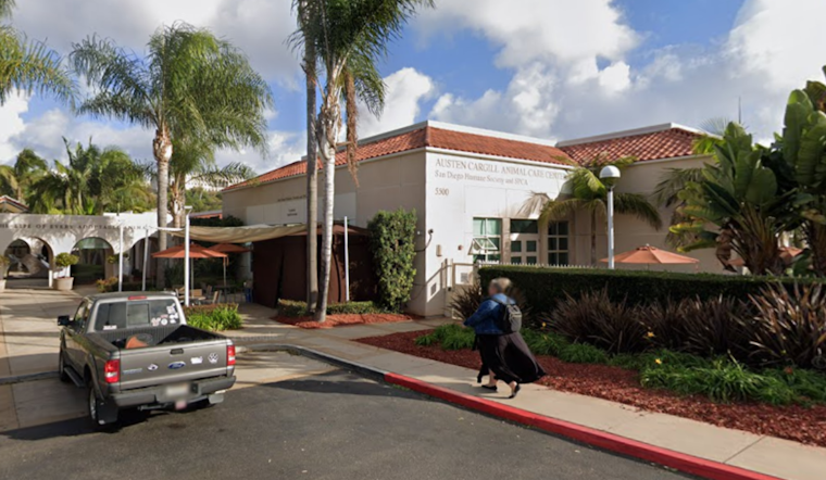 San Diego Animal Shelters Declare Emergency as Dog Population Soars, Urgent Community Support Needed