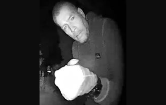 San Diego Police Seek Information on Del Mar Heights Burglary, Over $85k in Jewelry Stolen
