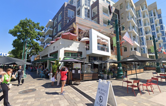 San Diego Welcomes Its First Cheese Wheel Pasta Bar in Little Italy's Culinary Scene