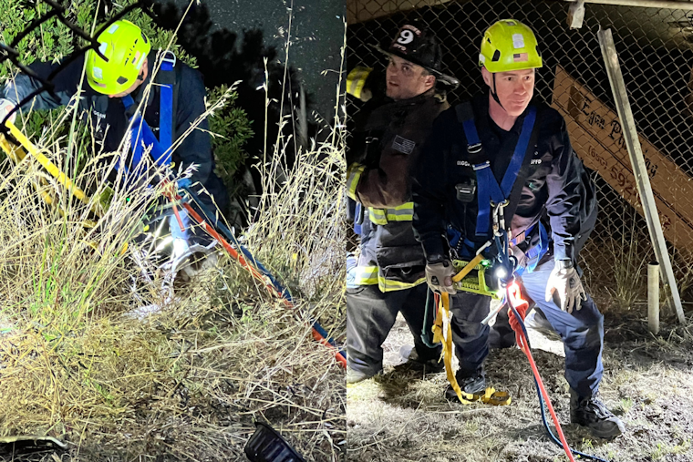 SF Dog 'Cushy-pup' Miraculously Unscathed After Being Chased Off Cliff by Raccoons