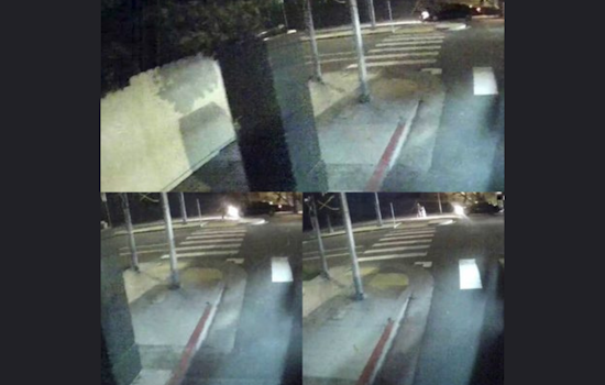 San Francisco Police Seek Public Help to Find Suspect in Ingleside District Fatal Hit-and-Run