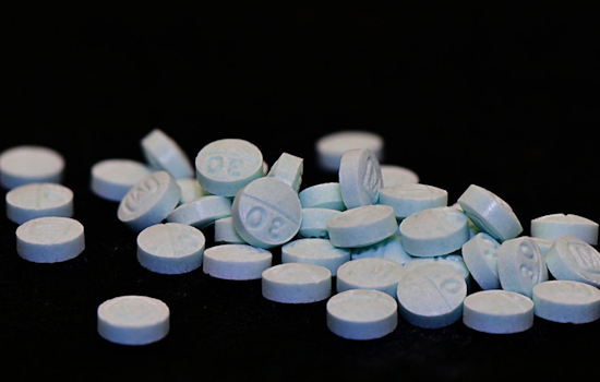 San Jose Couple Charged With Child Endangerment, Drug Possession After Raid Reveals Fentanyl Near Baby's Crib
