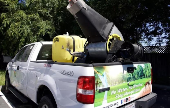 Santa Clara County Preps for Dawn Raid Against Invasive Aedes Mosquitoes in East San José