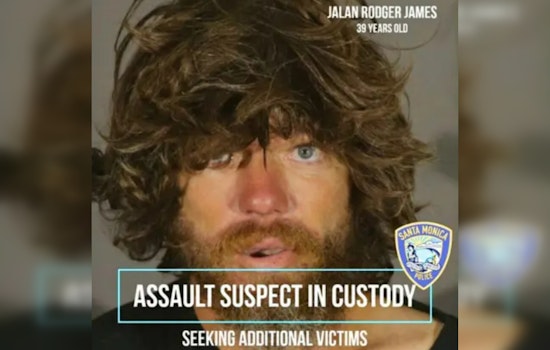 Santa Monica Police Apprehend Homeless Man Suspected of Assaulting 73-Year-Old Woman