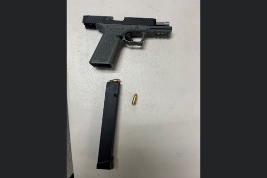 Santa Rosa Police Seize Loaded Gun at Andy's Unity Park, Juvenile and Adult Detained