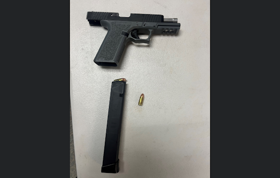Santa Rosa Police Seize Loaded Gun at Andy's Unity Park, Juvenile and Adult Detained