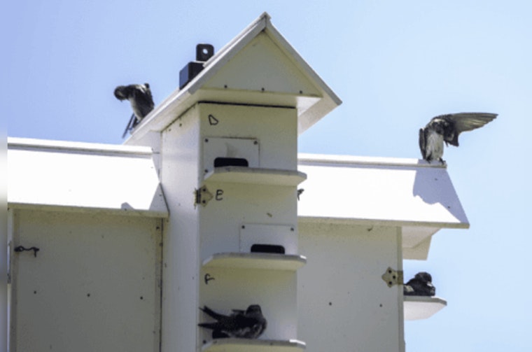 Scavenger Hunt Meets Birdwatching at Cedar Lake Farm Regional Park