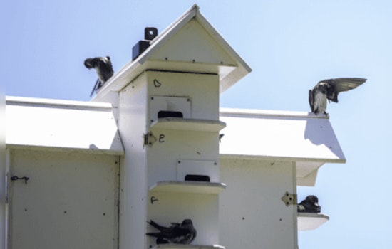 Scavenger Hunt Meets Birdwatching at Cedar Lake Farm Regional Park