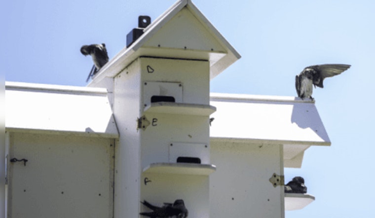 Scavenger Hunt Meets Birdwatching at Cedar Lake Farm Regional Park
