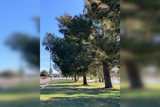 Scottsdale Seeks Public Input on Shade & Tree Plan for a Greener Cityscape