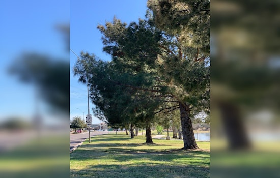 Scottsdale Seeks Public Input on Shade & Tree Plan for a Greener Cityscape