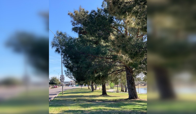 Scottsdale Seeks Public Input on Shade & Tree Plan for a Greener Cityscape