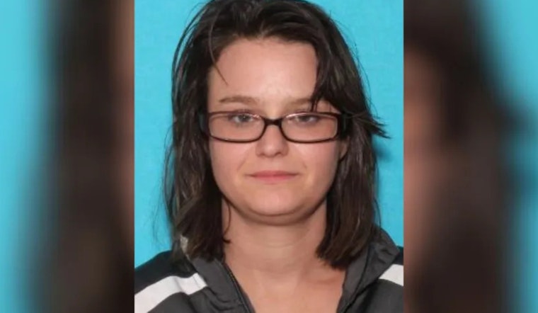 Search Escalates for Woman Missing Over a Month in Greeneville's Viking Mountain