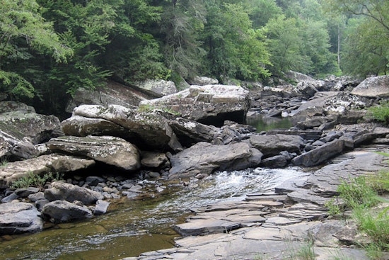 Search for Missing Cumberland County Man Postponed Amid Hazardous Water in Morgan County