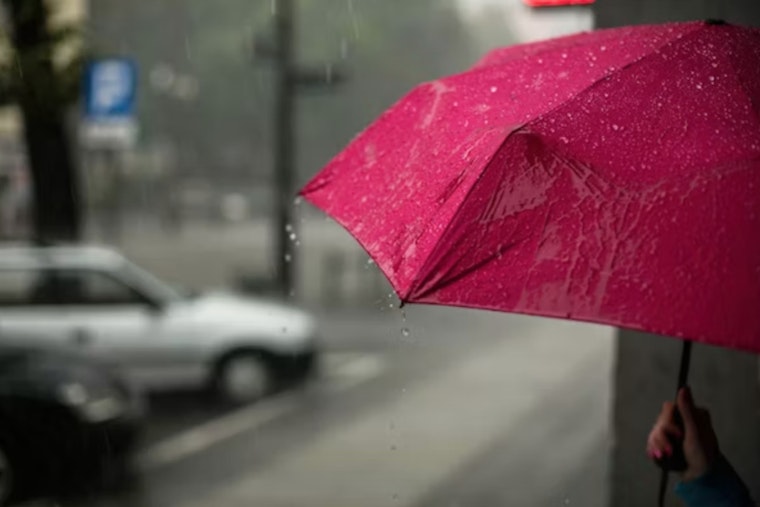 Seattle Braces for Rain and Gusty Winds, Followed by Midweek Sunny Respite