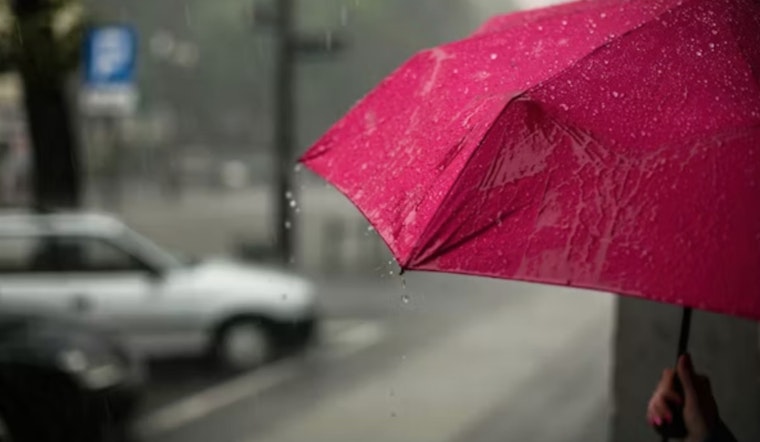 Seattle Braces for Rain and Gusty Winds, Followed by Midweek Sunny Respite