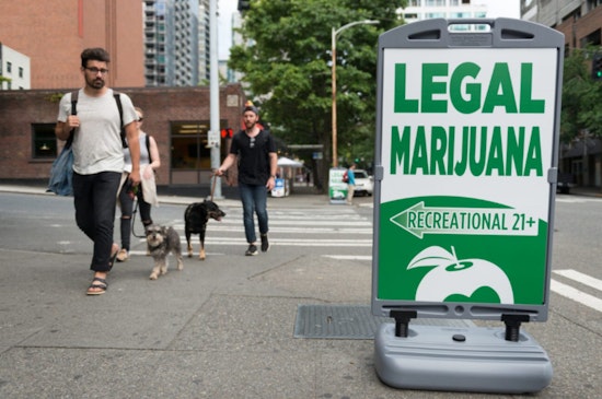 Seattle Launches Equity Study of Cannabis Industry to Forge Inclusive Economic Future