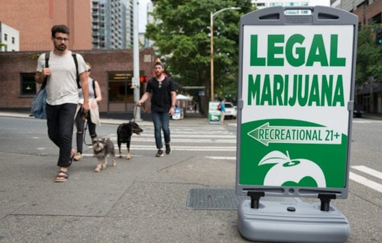 Seattle Launches Equity Study of Cannabis Industry to Forge Inclusive Economic Future