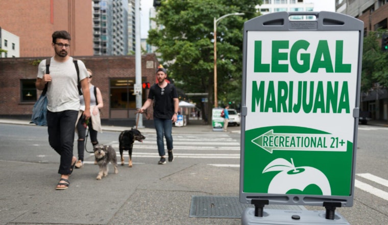 Seattle Launches Equity Study of Cannabis Industry to Forge Inclusive Economic Future