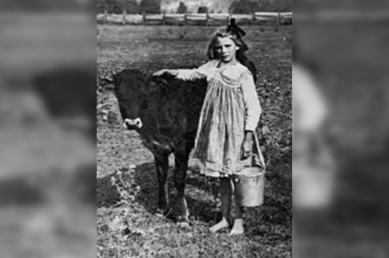 Snohomish County Seeks Next 'Centennial Farm' for Prestigious Agricultural Honor at Evergreen State Fair
