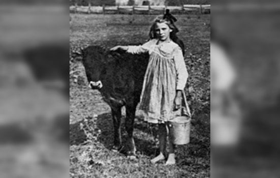 Snohomish County Seeks Next 'Centennial Farm' for Prestigious Agricultural Honor at Evergreen State Fair